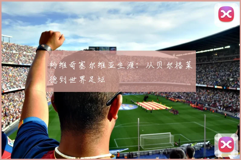 约维奇塞尔维亚生涯:从贝尔格莱德到世界足坛