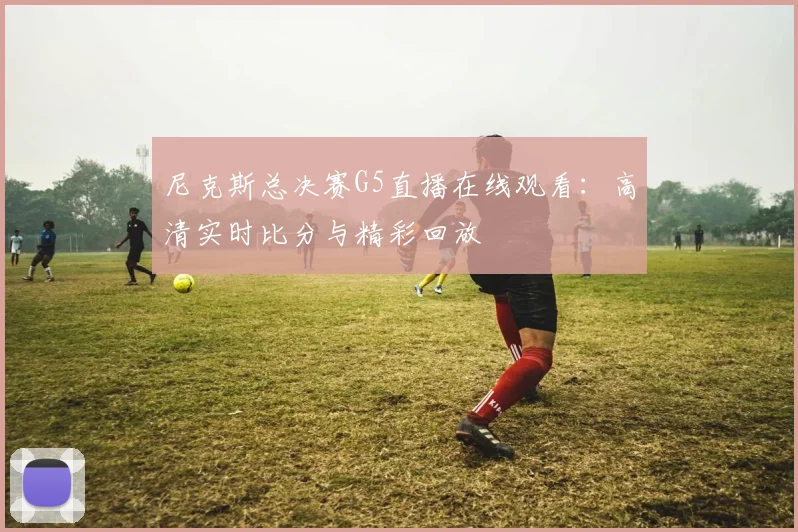 尼克斯总决赛G5直播在线观看:高清实时比分与精彩回放
