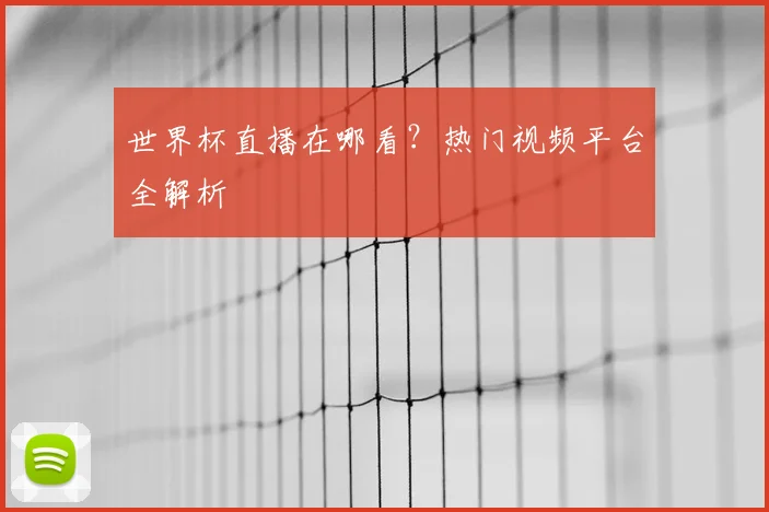 世界杯直播在哪看?热门视频平台全解析
