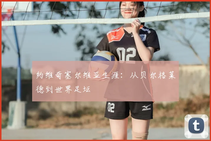 约维奇塞尔维亚生涯：从贝尔格莱德到世界足坛