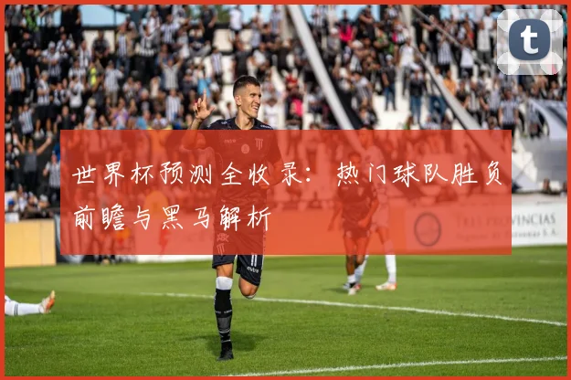 世界杯预测全收录:热门球队胜负前瞻与黑马解析
